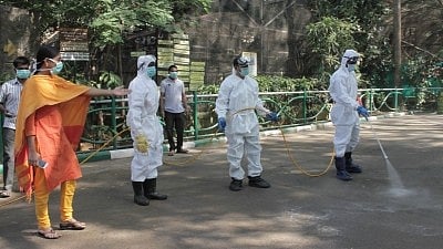 Bengaluru Bird Flu Outbreak Contained With No Human Cases