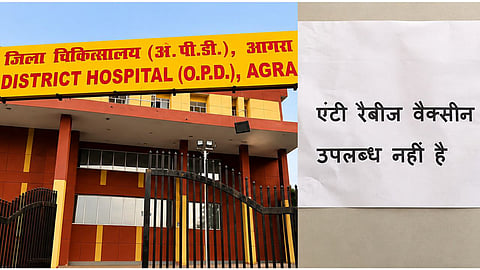 Agra District Hospital Faces Anti-Rabies Vaccine Shortage, Patients in Trouble