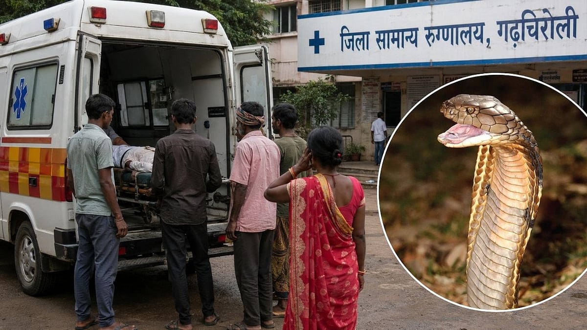 गढ़चिरोली में बड़ा हादसा: आश्रम स्कूल में सो रही 3 छात्राओं की सांप के काटने से मौत; 3 अन्य अस्पताल में भर्ती