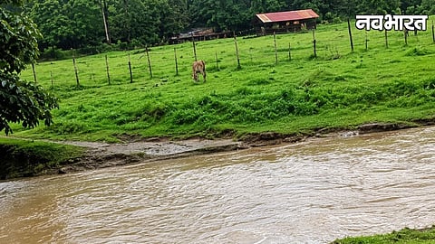 gadchiroli etapalli koidul bridge construction