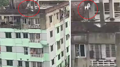 A video of a woman swinging on a rooftop five storeys high has gone viral.