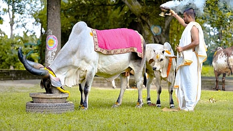 Chauth kab hai bahula chauth vrat katha gay bachhde ki puja 2026 RRS05