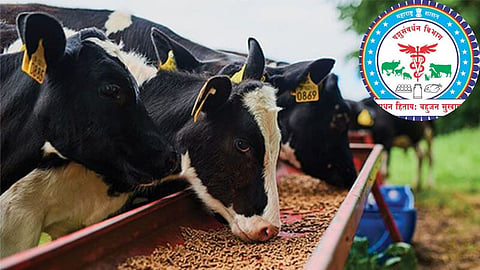 gadchiroli animal husbandry department 255 posts vacant