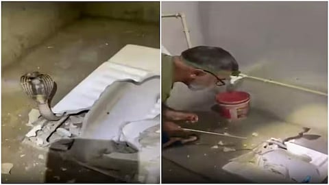 A six-foot-long spectacled cobra was rescued after being found hiding under a toilet seat.