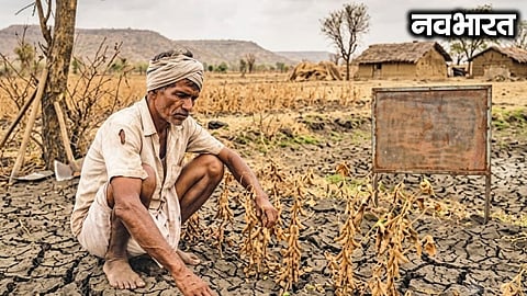 Concerns rise in Vidarbha due to erratic monsoon; 22% rainfall deficit over three months