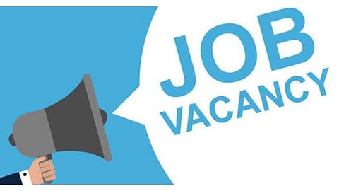 IBPS RRB Recruitment 2026 has opened applications for 13,706 posts.