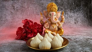 Bhagwan Ganesha bhog ganesh ji Priya 5 Bhog ki cheezein RRS05