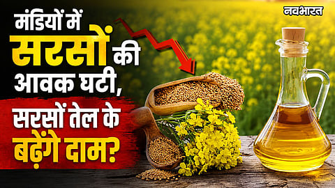 mustard oil price hike mandi arrival decreases stock update 2026