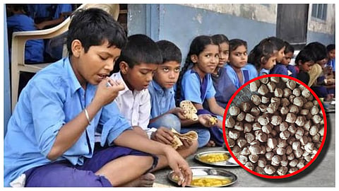 mid day meal