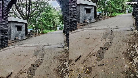 Nashik Roads Potholes Citizens Risk Lives