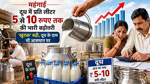 Wardha Goras Bhandar Milk Price