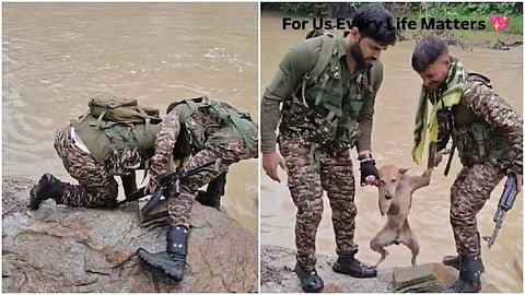 A CRPF jawan and his fellow soldier rescued a dog being swept away in a canal.