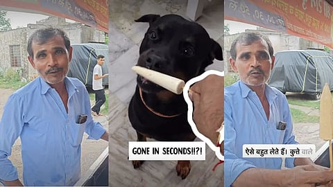 A Jaipur kulfi seller’s thoughtful gesture of making sugar-free kulfi for dogs.