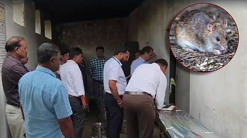 bhandara school midday meal kitchens rat droppings