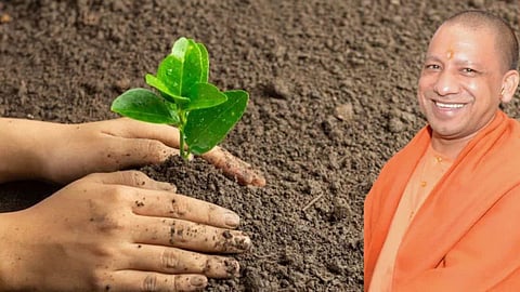 UP to Launch Ek Ped Guru Ke Naam Plantation Drive Across Forest Divisions on Teachers Day