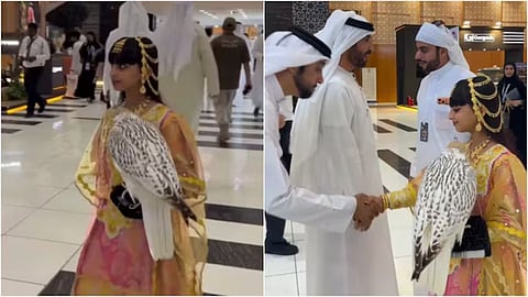 rare pure-white falcon was auctioned for around Rs 3.85 crore in Abu Dhabi.