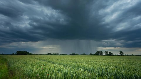 amravati water crisis risk only 49 percent rainfall