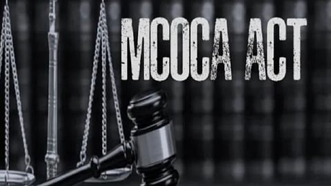 chandrapur first mcoca action against drug smugglers