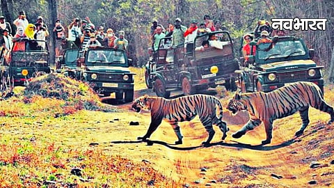  Nagpur Vidarbha Tiger Capital