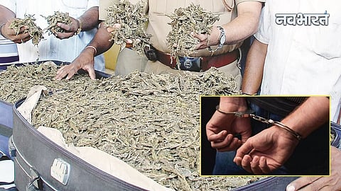 Ganja Smuggling Arrest