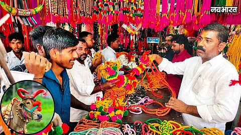 nashik Bail Pola market thrives despite inflation