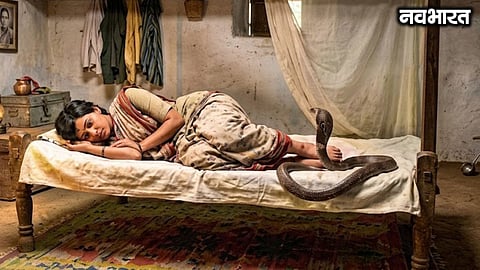 27-year-old woman bitten by a snake while sleeping at home in Vasai; dies during treatment