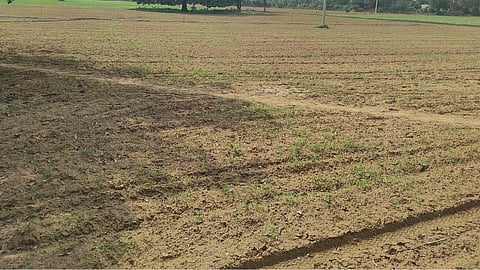 vidarbha farmer crisis crop insurance economic package
