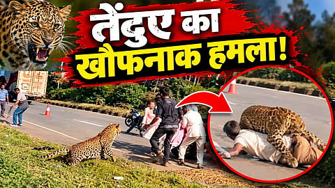Karnataka Leopard Attack Video
