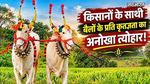 bail pola festival maharashtra significance rituals celebration