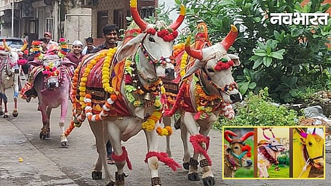 Gondia Pola Festival Memories
