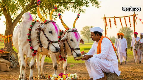 Gadchiroli Farmers Bullock Festival