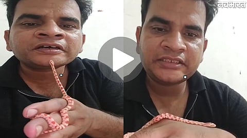 Meerut Red Sand Boa Viral Video Investigation