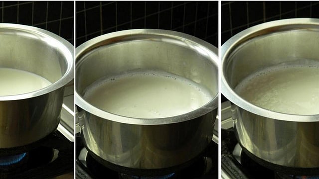 Homemade Paneer Recipe