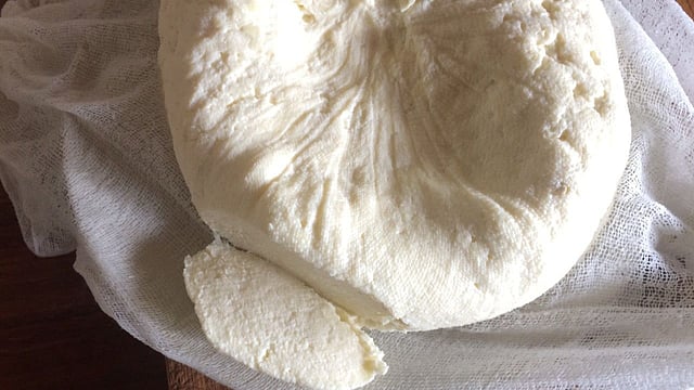 Homemade Paneer Recipe