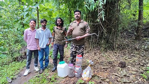 Snake rescue team releasing rescued cobras and red snakes