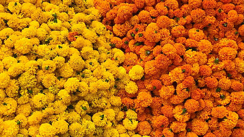 Leftover puja flowers reuse ganpati phool 6 ideas rrs05