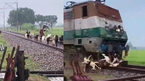 Pratapgarh Train Accident Around 35 Goats Killed on Railway Track