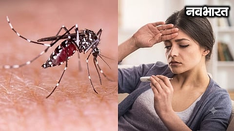 Health crisis in Pune due to the weather's triple-faceted nature: Viral fever