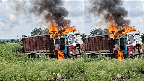 wardha illegal timber truck seized forest officers attacked fir registered