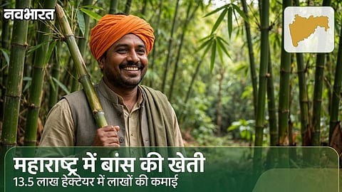 Bamboo Farming in Maharashtra