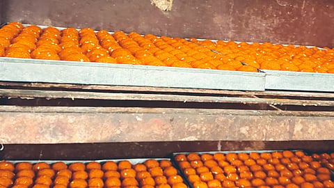 gondia fda raid vaishali rajpurohit sweets license suspended