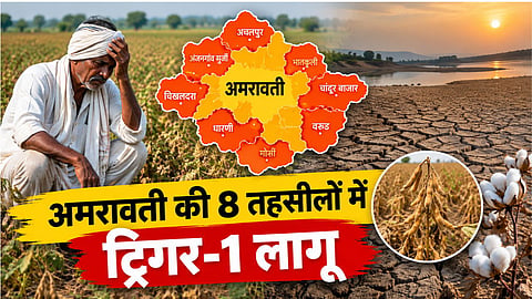 amravati trigger 1 8 tehsils rainfall crisis farmers