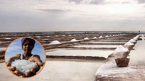 Gujarat Salt Farming