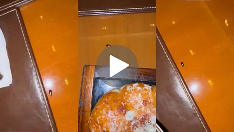 cockroach found at jw marriott mumbai table dr ashok seth tags tukaram mundhe