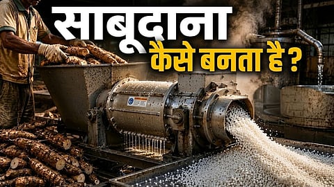 Sabudana Making Process
