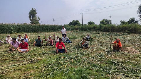 Agra Inner Ring Road Land Dispute: Farmers Allege Crop Damage ADA Action