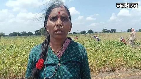 El Nino Impact On Maharashtra