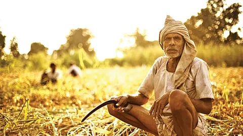 maharashtra agriculture employees one day salary farmers