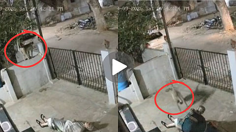 Koppal Monkey Attack CCTV Video