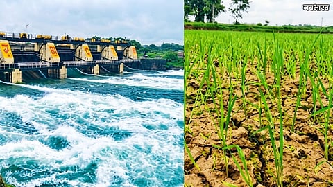 Nashik Dams 97 Percent Full But Farms Face Drought Crisis